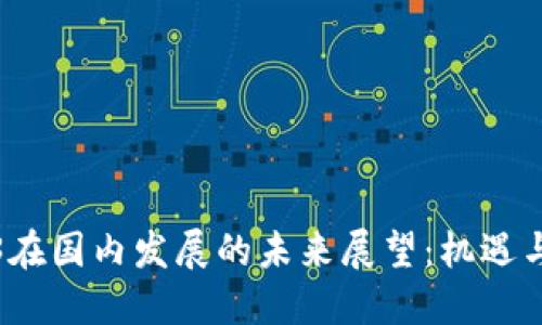 Web3在国内发展的未来展望：机遇与挑战