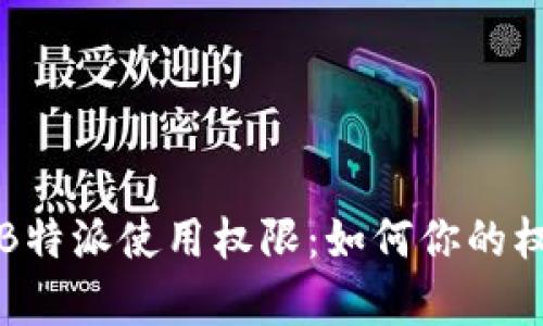 全面解析B特派使用权限：如何你的权利与效率