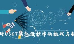 如何应对USDT钱包维护中的挑战与解决