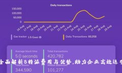 全面解析B特派费用与优势，助力企业