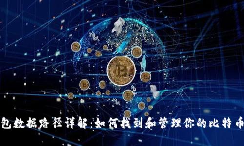 比特币钱包数据路径详解：如何找到和管理你的比特币钱包文件