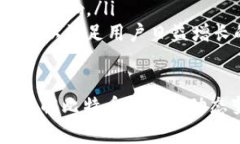 比特币钱包的动态变化及其背后的原因