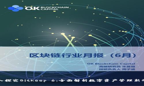 深入探究BitKeep 6：全面解析数字资产管理新形态